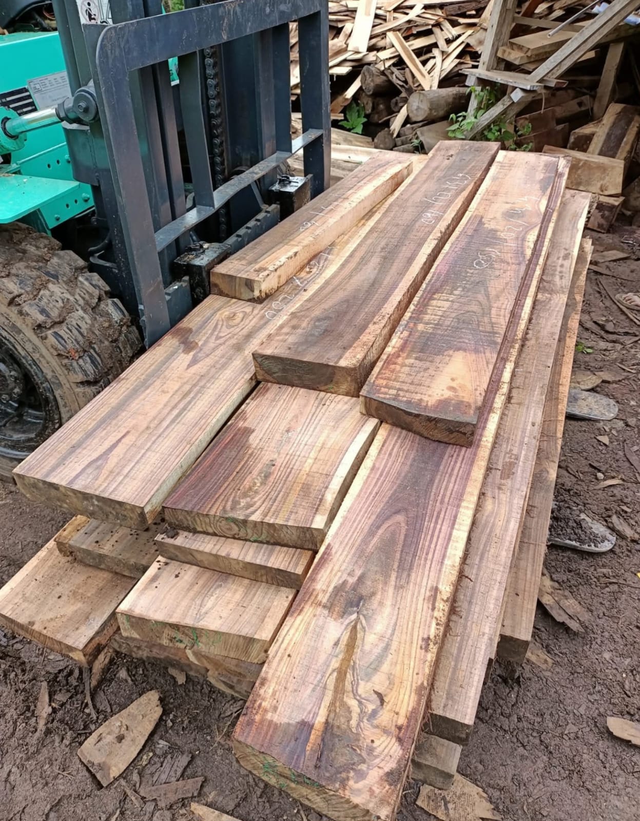 Produksi Kayu Jati